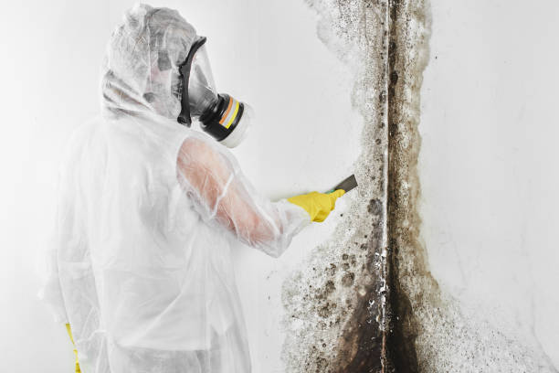 West Fargo, ND Mold Remediation Company