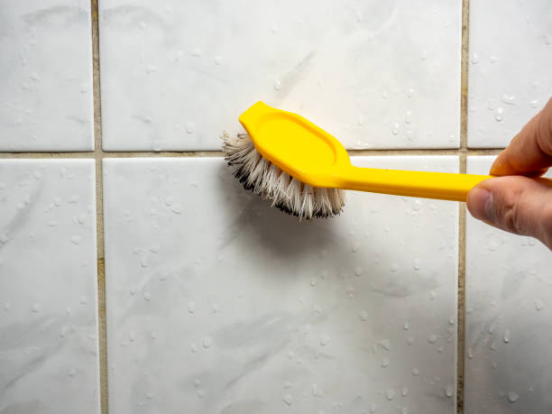 Best Post-Flood Mold Remediation in West Fargo, ND