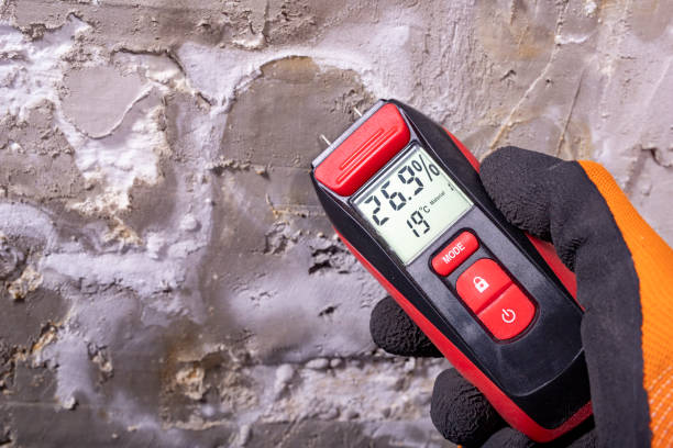 Best Bathroom Mold Remediation in West Fargo, ND